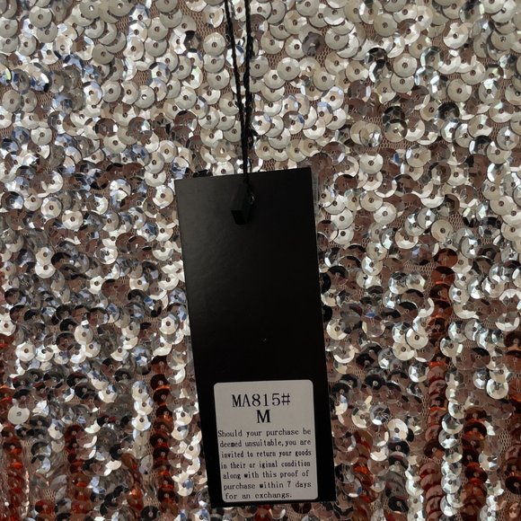 Silver and Brown Sequin Sleeveless Dress, NWT, Size Medium - Picture 3 of 5
